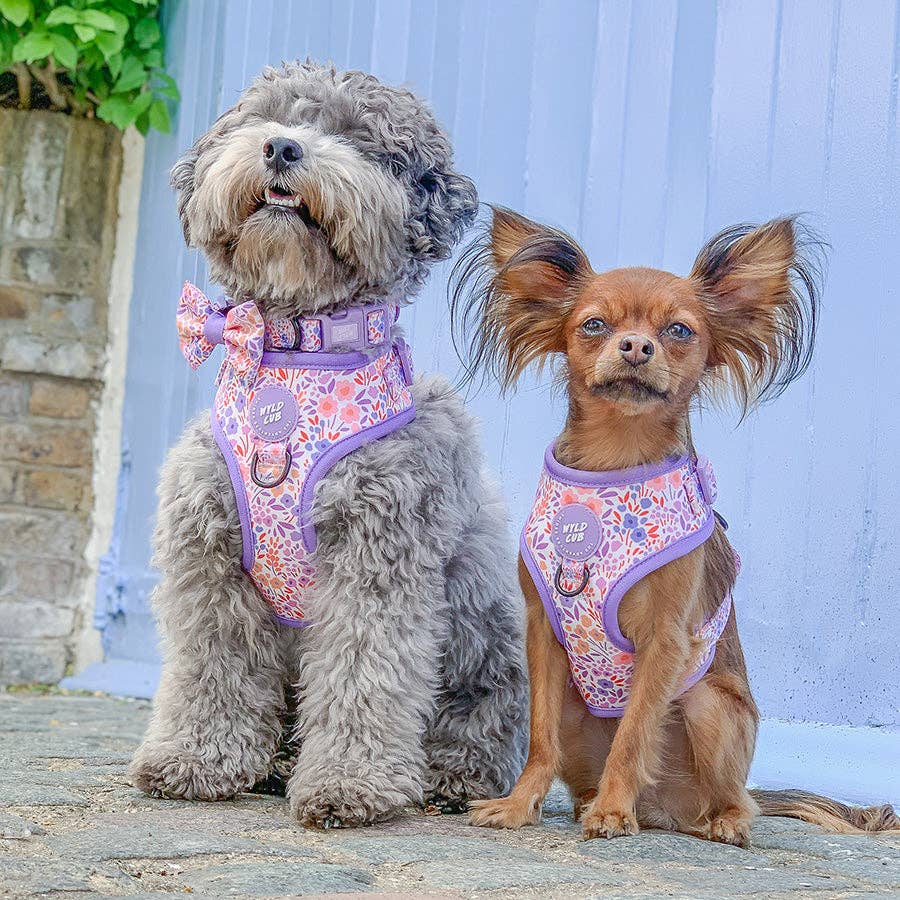 Adjustable Dog Harness: Notting Hill - Lilac