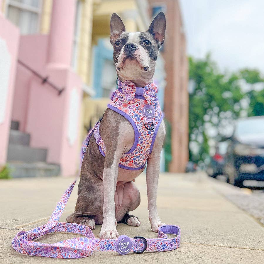 Adjustable Dog Collar: Notting Hill - Lilac