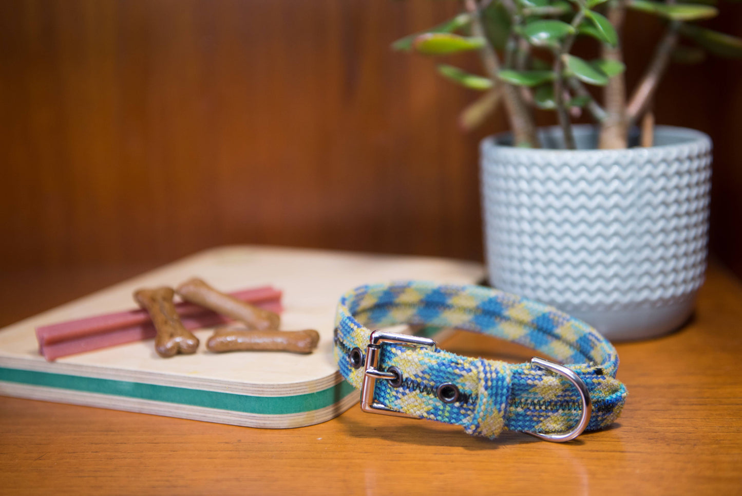 Dog Collar - Recycled Climbing rope