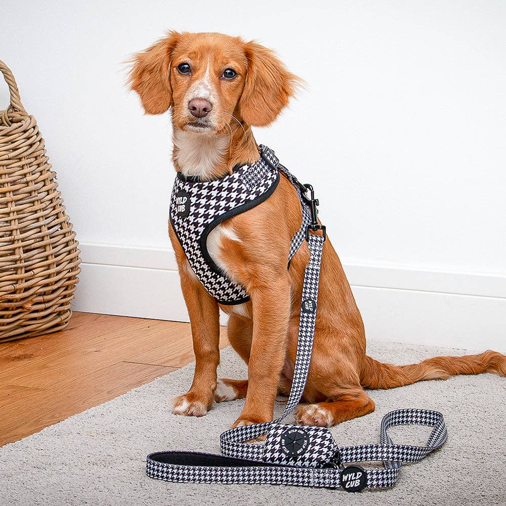 Dog Lead: Happy Houndstooth