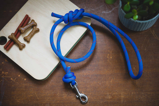 Recycled Climbing Rope Dog Leash