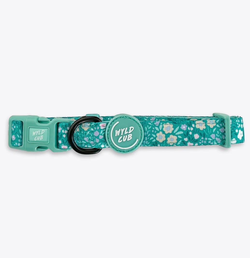 Adjustable Dog Collar: Notting Hill - Mint