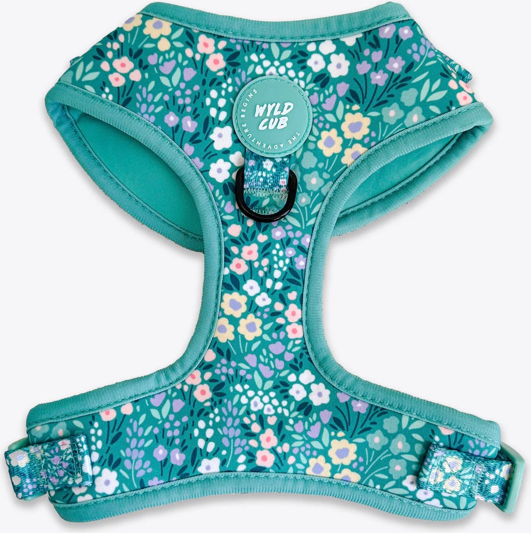 Adjustable Dog Harness: Notting Hill - Mint