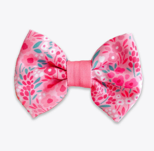 Dog Bow Tie: Notting Hill - Rose