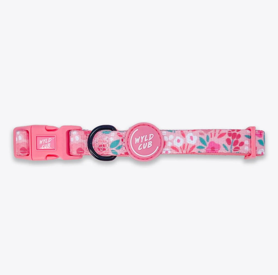 Adjustable Dog Collar: Notting Hill - Rose