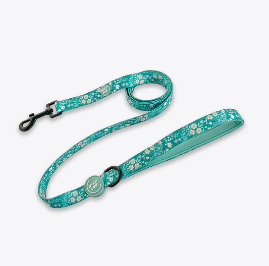 Dog Lead: Notting Hill - Mint