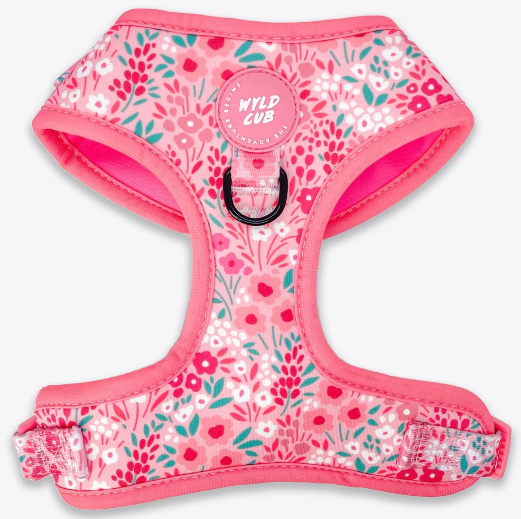 Adjustable Dog Harness: Notting Hill - Rose – Wags & Snoots