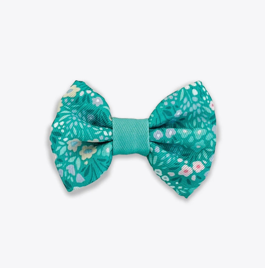 Dog Bow Tie: Notting Hill - Mint