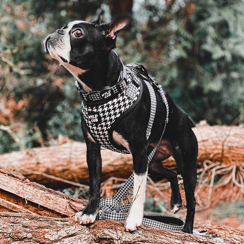 Adjustable Dog Harness: Happy Houndstooth