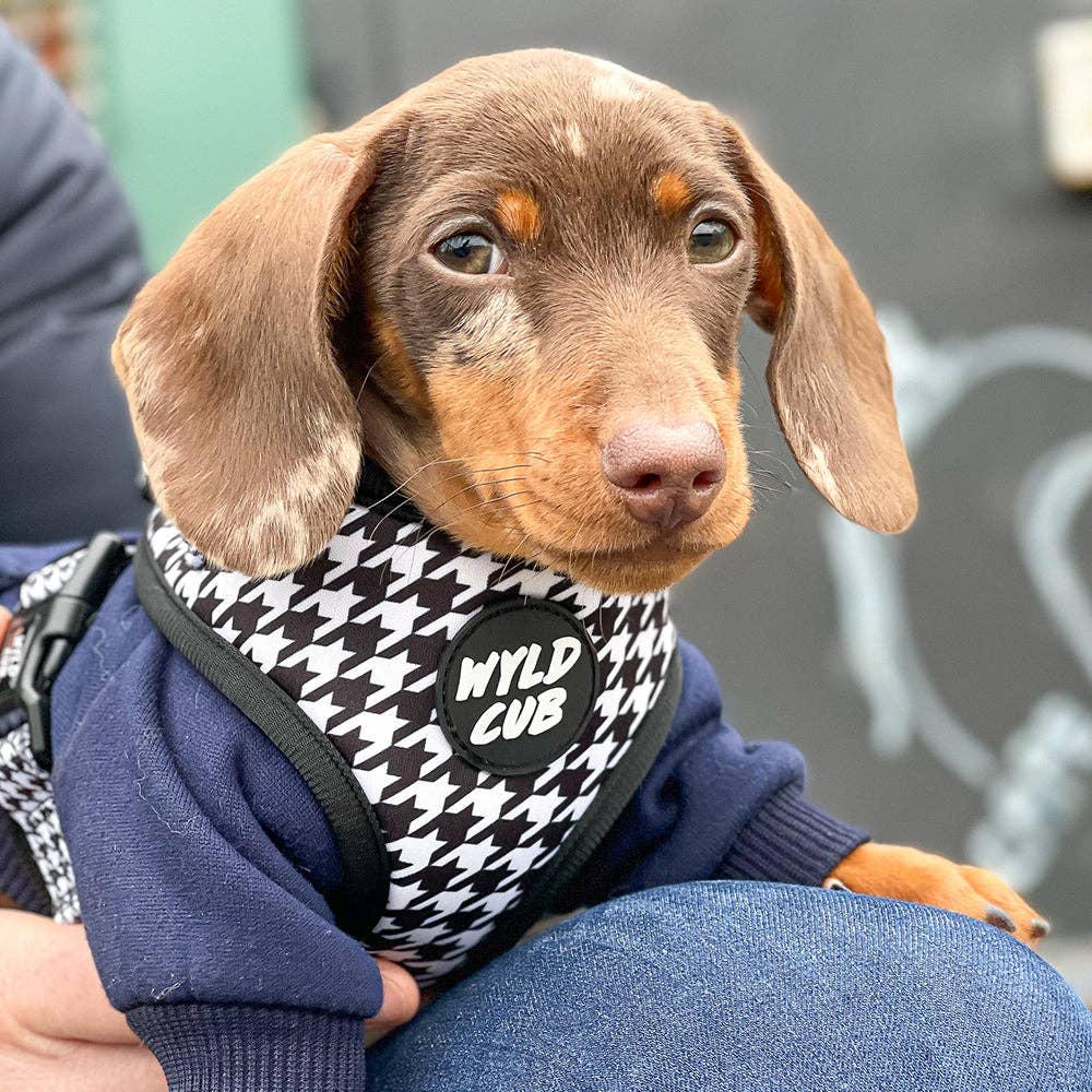 Adjustable Dog Harness: Happy Houndstooth