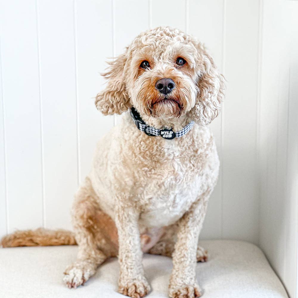 Adjustable Dog Collar: Happy Houndstooth