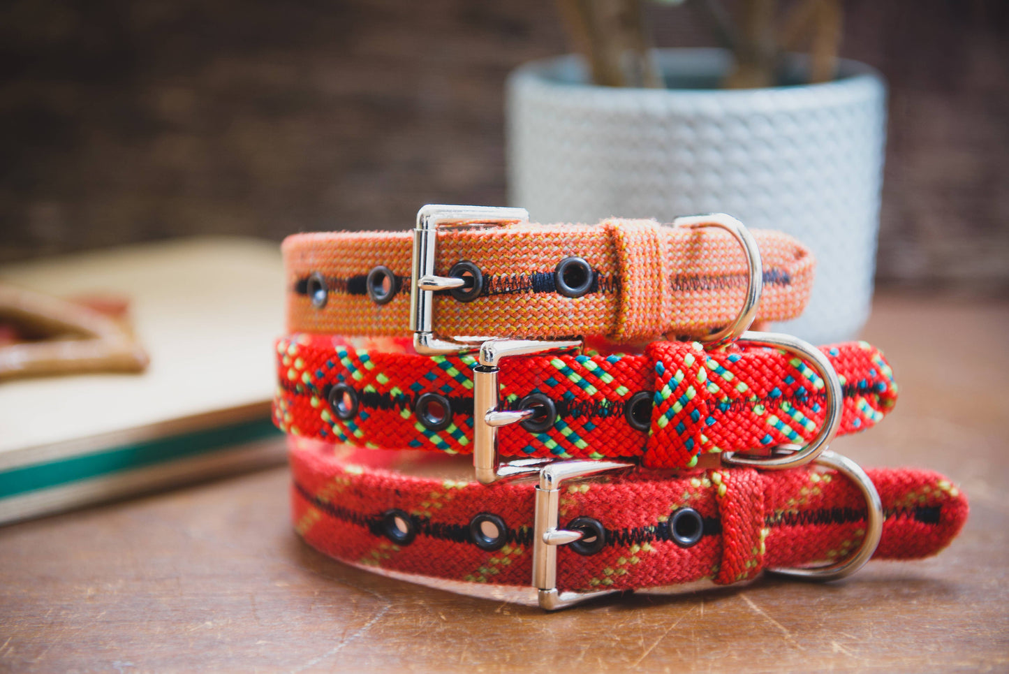 Dog Collar - Recycled Climbing rope