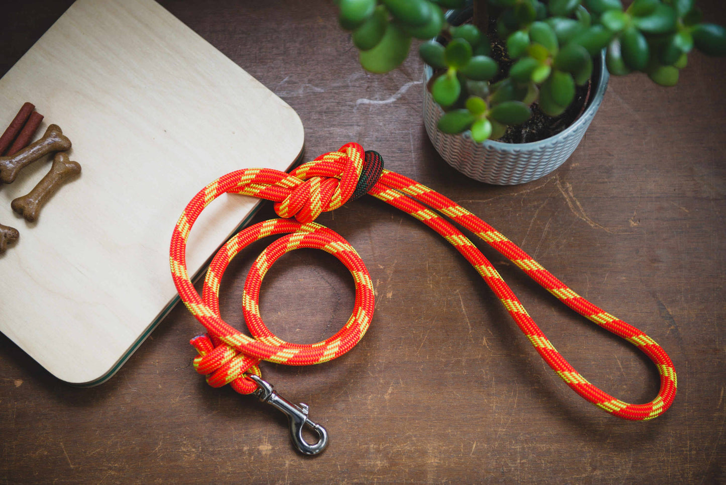 Recycled Climbing Rope Dog Leash