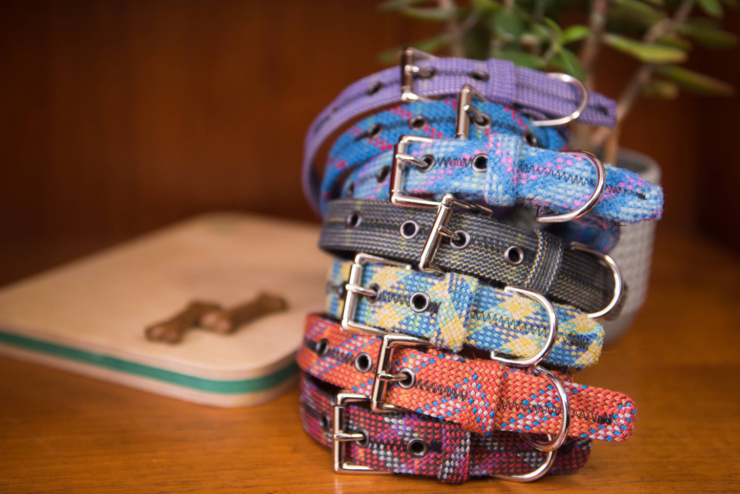 Dog Collar - Recycled Climbing rope